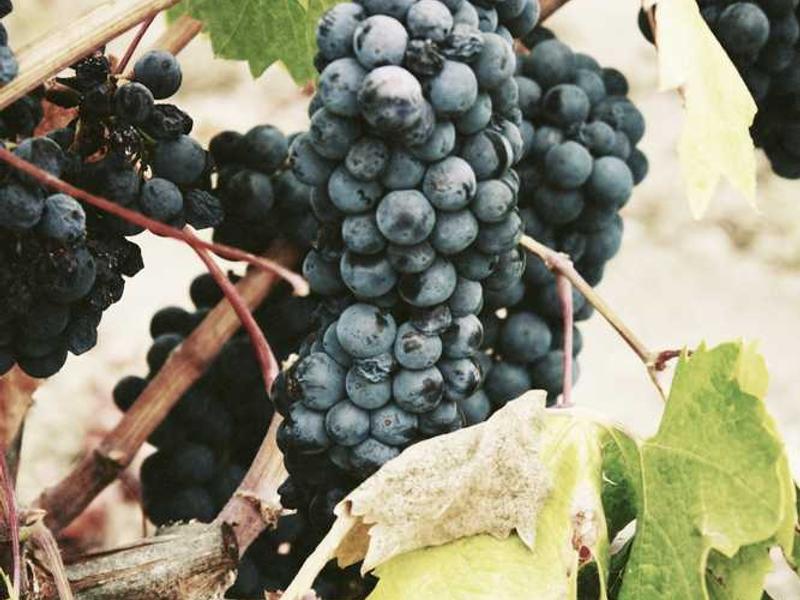 Jeux sensoriels et découverte tactile