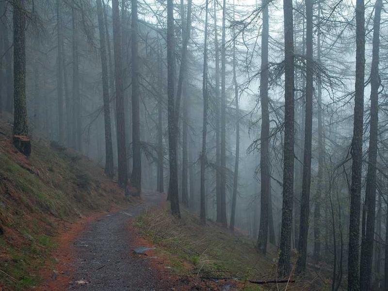 Collations saines avec fruits de saison