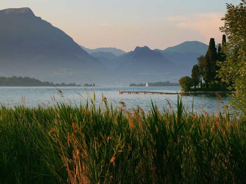 Ingrédients frais et produits locaux