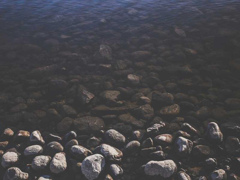 Éducatrice accompagnant un enfant dans une activité de découverte