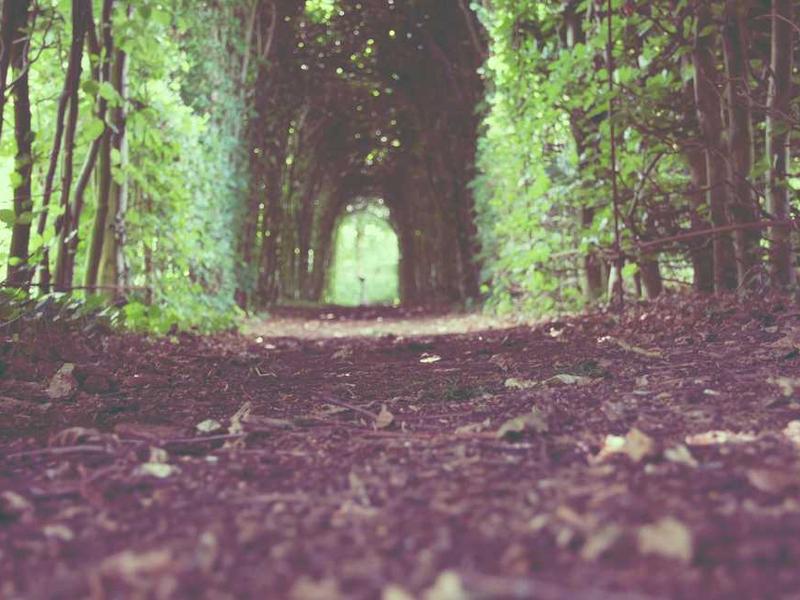 Atelier créatif équipé pour l'art