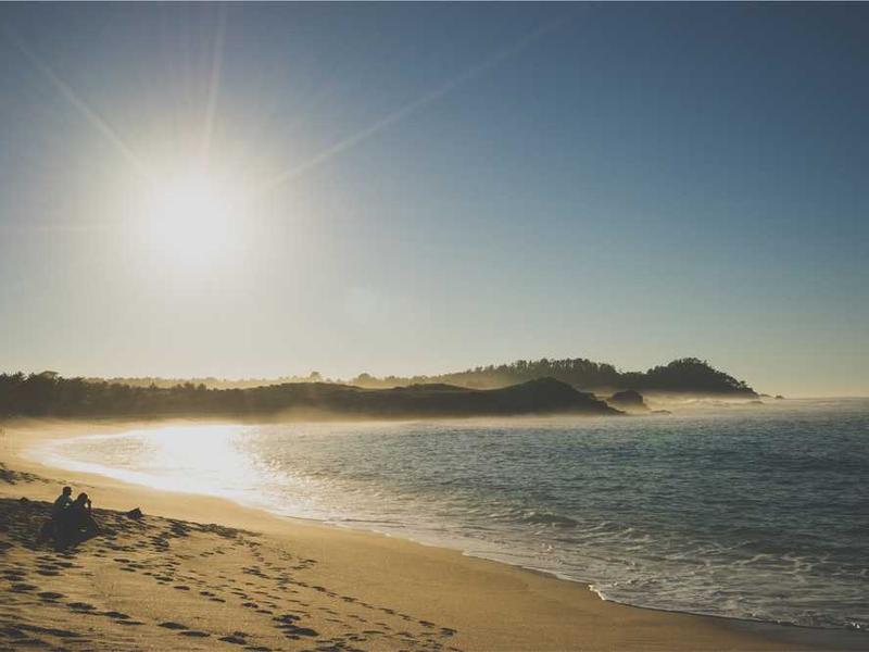 Jardin pédagogique avec plants et légumes