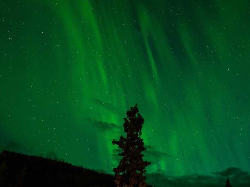 Hall d'accueil chaleureux et accueillant